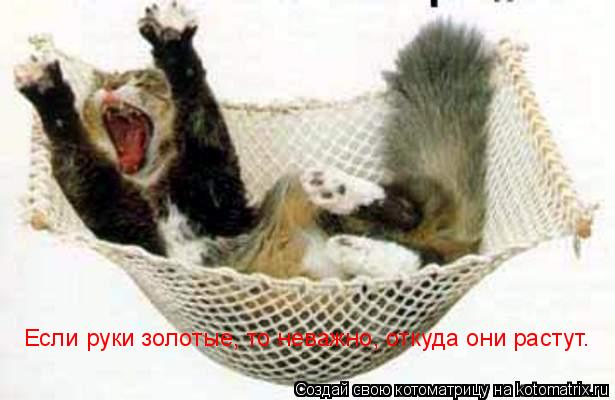 Котоматрица: Если руки золотые, то неважно, откуда они растут.