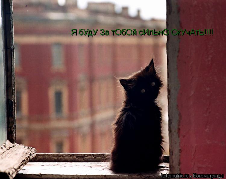 Котоматрица: Я бУдУ За тОбОй сИлЬнО СкУчАтЬ!!!!