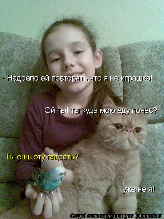 Котоматрица: Надоело ей повторять,что я не играшка! Ты ешь эту гадость? - уже не я! Эй ты! ты куда мою еду понёс?
