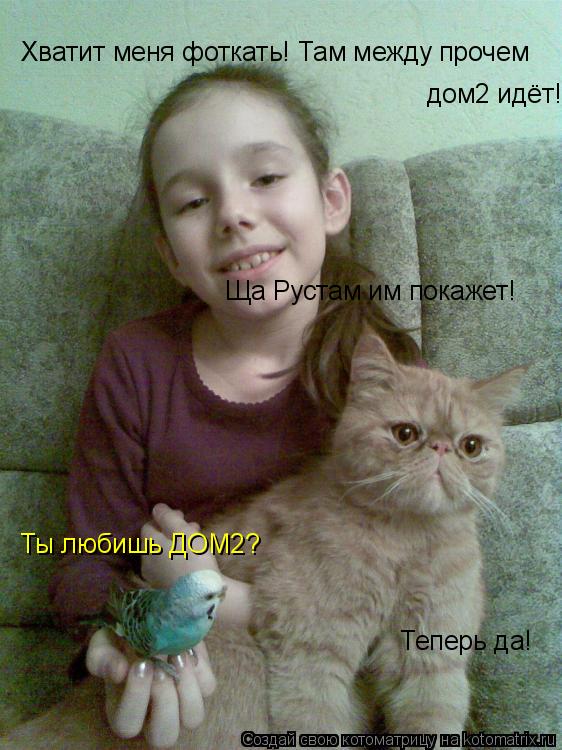 Котоматрица: Хватит меня фоткать! Там между прочем  дом2 идёт! Ща Рустам им покажет! Ты любишь ДОМ2? Теперь да!