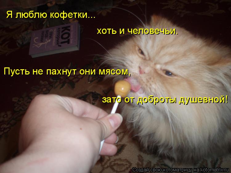 Я люблю кофетки... хоть и человечьи. Пусть не пахнут они мясом, зато от доброты душевной!... Котоматрица: Я люблю кофетки... хоть и человечьи. Пусть не пахнут они мясом, зато от доброты душевной!