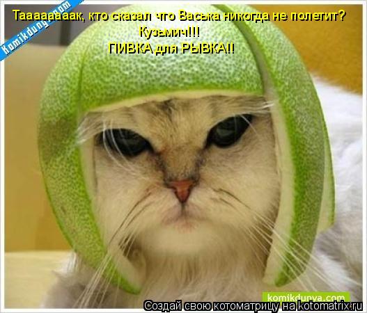 Таааааааак, кто сказал что Васька никогда не полетит? Кузьмич!!! ПИВКА для РЫВКА!!... Котоматрица: Таааааааак, кто сказал что Васька никогда не полетит? Кузьмич!!! ПИВКА для РЫВКА!!