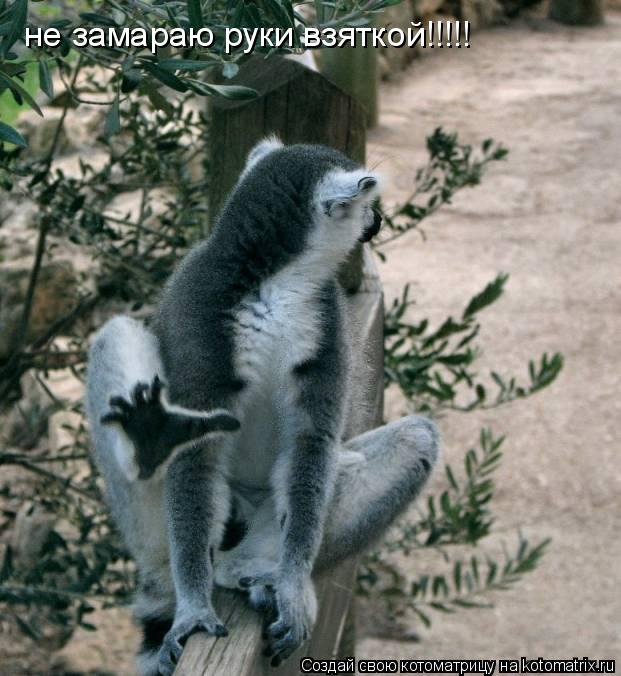 не замараю руки взяткой!!!!!... Котоматрица: не замараю руки взяткой!!!!!
