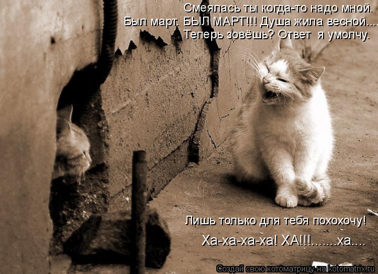 Смеялась ты когда-то надо мной. Был март. БЫЛ МАРТ!!! Душа жила весной.... Теперь зовёшь? Ответ я ум... Котоматрица: Смеялась ты когда-то надо мной. Был март. БЫЛ МАРТ!!! Душа жила весной.... Теперь зовёшь? Ответ я умолчу. Лишь только для тебя похохочу! Ха-ха-ха-