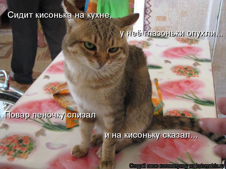 Сидит кисонька на кухне, у неё глазоньки опухли... Повар пеночку слизал и на кисоньку сказал...... Котоматрица: Сидит кисонька на кухне, у неё глазоньки опухли... Повар пеночку слизал и на кисоньку сказал...