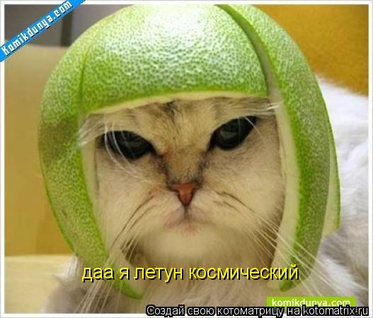 даа я летун космический... Котоматрица: даа я летун космический