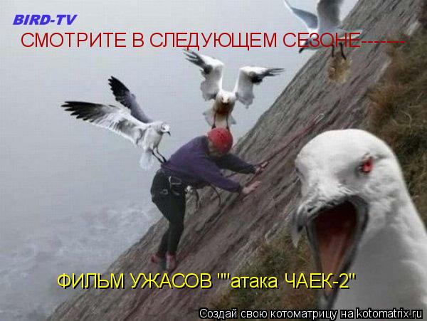 СМОТРИТЕ В СЛЕДУЮЩЕМ СЕЗОНЕ------- ФИЛЬМ УЖАСОВ ""атака ЧАЕК-2"... Котоматрица: СМОТРИТЕ В СЛЕДУЮЩЕМ СЕЗОНЕ------- ФИЛЬМ УЖАСОВ ""атака ЧАЕК-2"