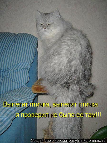 Вылетит птичка, вылетит птичка я проверил не было ее там!!!... Котоматрица: Вылетит птичка, вылетит птичка я проверил не было ее там!!!