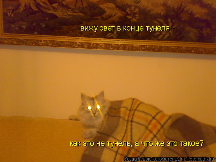 вижу свет в конце тунеля как это не тунель, а что же это такое? -... Котоматрица: вижу свет в конце тунеля как это не тунель, а что же это такое? -