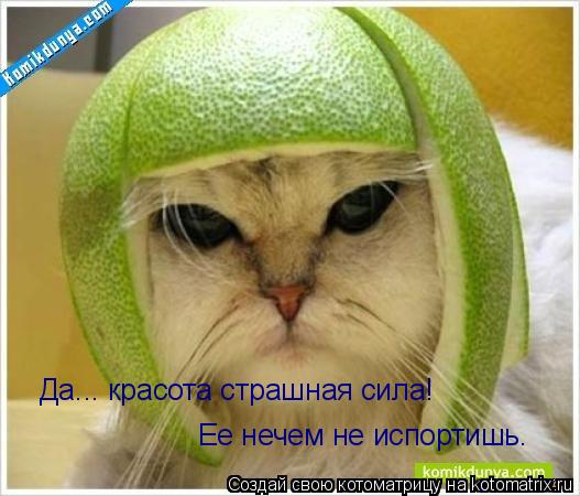 Да... красота страшная сила! Ее нечем не испортишь.... Котоматрица: Да... красота страшная сила! Ее нечем не испортишь.