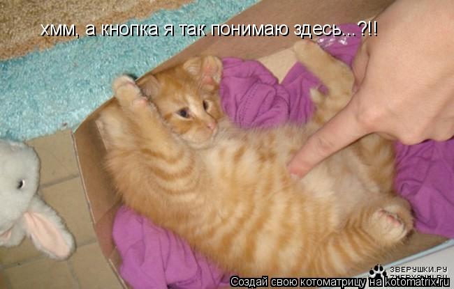 хмм, а кнопка я так понимаю здесь...?!!... Котоматрица: хмм, а кнопка я так понимаю здесь...?!!