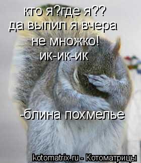 кто я?где я?? да выпил я вчера не множко! ик-ик-ик -блина похмелье... Котоматрица: кто я?где я?? да выпил я вчера не множко! ик-ик-ик -блина похмелье