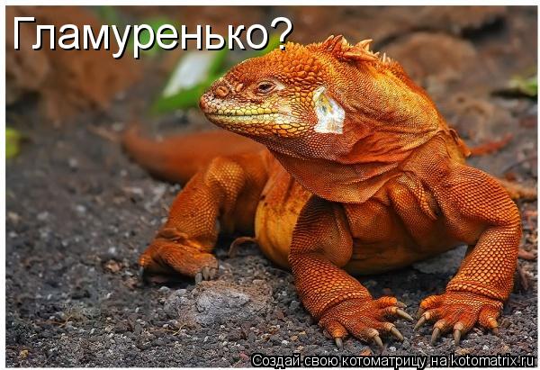 Гламуренько?... Котоматрица: Гламуренько?