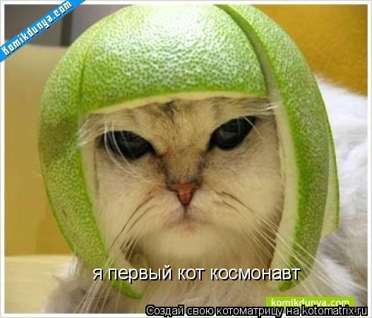 Котоматрица: я первый кот космонавт