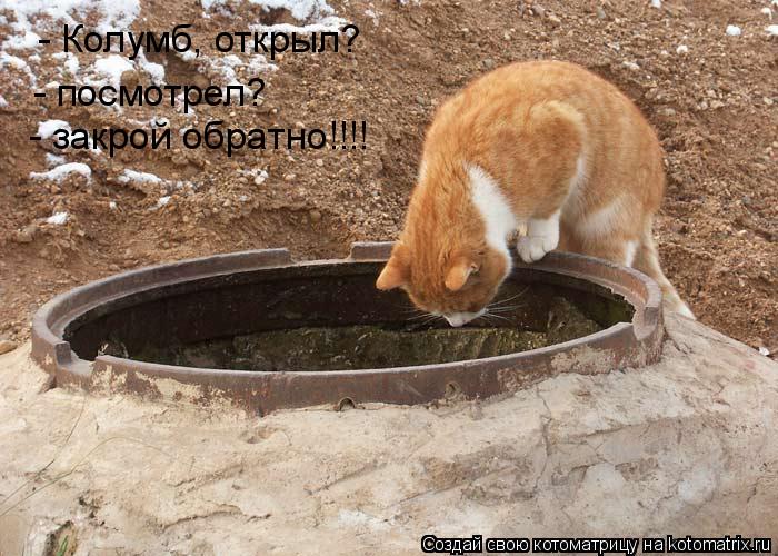 Котоматрица: - Колумб, открыл? - посмотрел? - закрой обратно!!!!