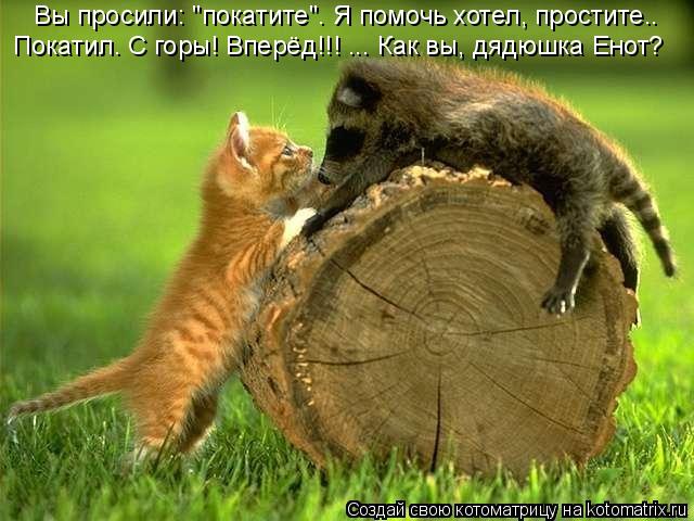 Покатил. С горы! Вперёд!!! ..… Как вы, дядюшка Енот? Вы просили: "покатите". Я помочь хотел, простите... Котоматрица: Покатил. С горы! Вперёд!!! ..… Как вы, дядюшка Енот? Вы просили: "покатите". Я помочь хотел, простите.…