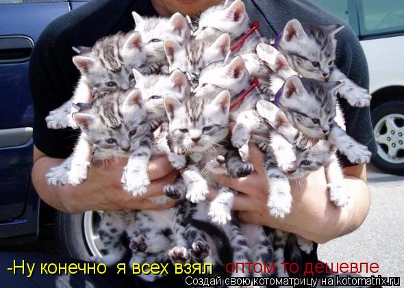 -Ну конечно я всех взял оптом то дешевле... Котоматрица: -Ну конечно я всех взял оптом то дешевле