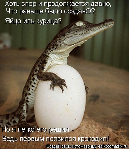 Хоть спор и продолжается давно, Что раньше было созданО? Яйцо иль курица? Ведь первым появился крокод... Котоматрица: Хоть спор и продолжается давно, Что раньше было созданО? Яйцо иль курица? Ведь первым появился крокодил! Но я легко его решил -