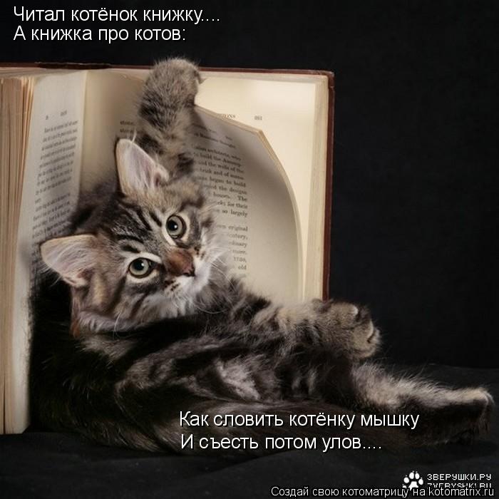 Читал котёнок книжку.... А книжка про котов: Как словить котёнку мышку И съесть потом улов....... Котоматрица: Читал котёнок книжку.... А книжка про котов: Как словить котёнку мышку И съесть потом улов....