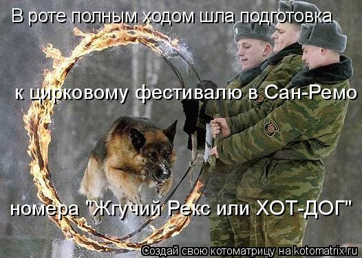 В роте полным ходом шла подготовка к цирковому фестивалю в Сан-Ремо номера "Жгучий Рекс или ХОТ-ДОГ"... Котоматрица: В роте полным ходом шла подготовка к цирковому фестивалю в Сан-Ремо номера "Жгучий Рекс или ХОТ-ДОГ"