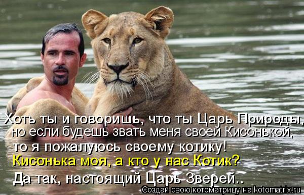 Котоматрица: но если будешь звать меня своей Кисонькой, то я пожалуюсь своему котику! Кисонька моя, а кто у нас Котик? Да так, настоящий Царь Зверей.. Хоть 