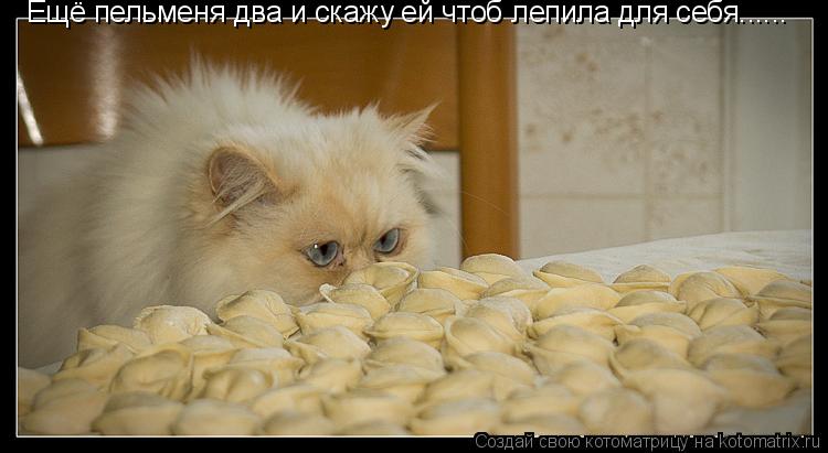 Котоматрица: Ещё пельменя два и скажу ей чтоб лепила для себя......