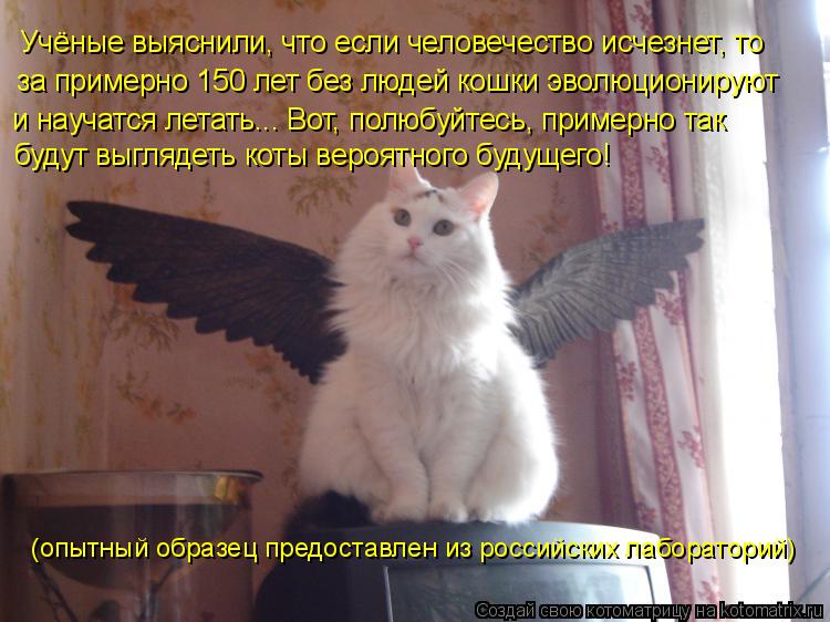 Учёные выяснили, что если человечество исчезнет, то и научатся летать... Вот, полюбуйтесь, примерно т... Котоматрица: Учёные выяснили, что если человечество исчезнет, то и научатся летать... Вот, полюбуйтесь, примерно так за примерно 150 лет без людей кошки эво