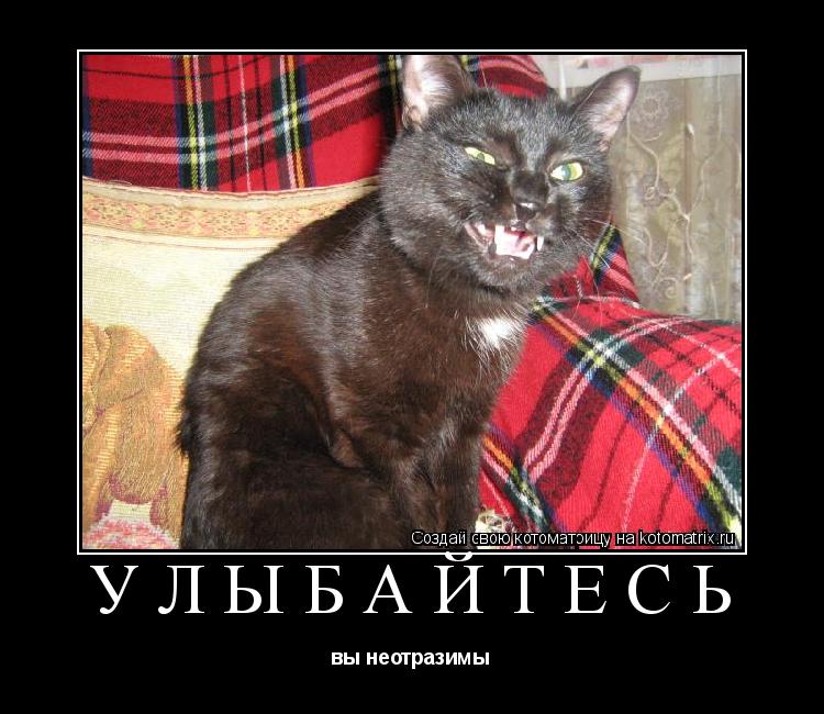 улыбайтесь вы неотразимы... Котоматрица: улыбайтесь вы неотразимы