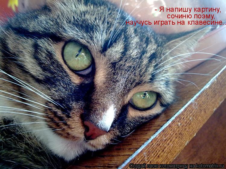 Котоматрица: - Я напишу картину,  сочиню поэму, научусь играть на клавесине...