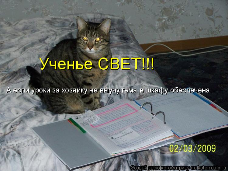Котоматрица: Ученье СВЕТ!!! А если уроки за хозяйку не выучу,тьма в шкафу обеспечена.