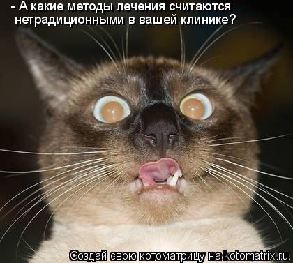 Котоматрица: - А какие методы лечения считаются нетрадиционными в вашей клинике?