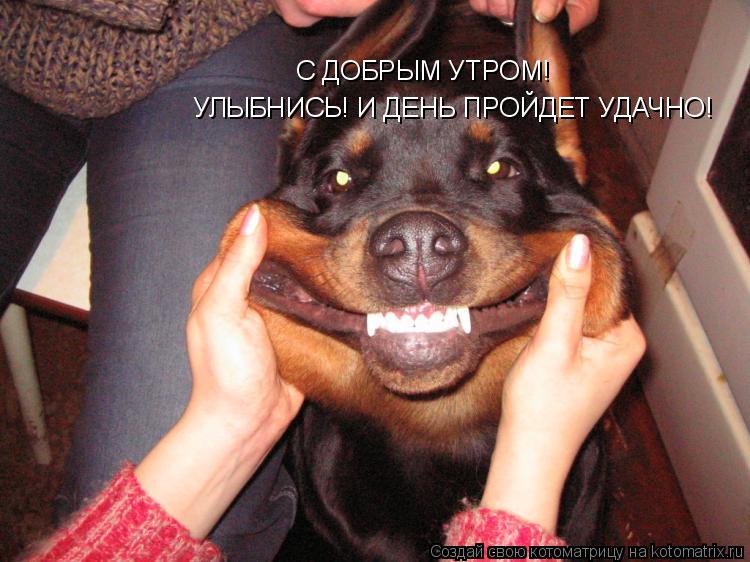 Котоматрица: С ДОБРЫМ УТРОМ! УЛЫБНИСЬ! И ДЕНЬ ПРОЙДЕТ УДАЧНО!
