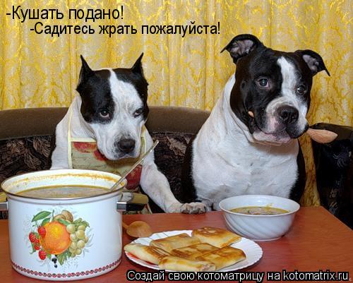 Котоматрица: -Кушать подано! -Садитесь жрать пожалуйста!