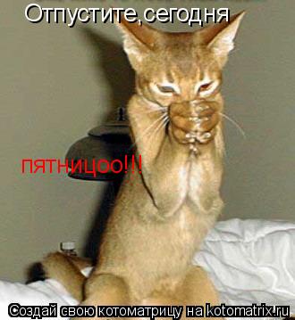 Котоматрица: Отпустите,сегодня  пятницоо!!!