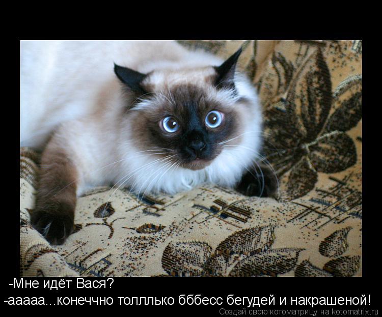 Котоматрица: -Мне идёт Вася? -ааааа...конеччно толллько бббесс бегудей и накрашеной!
