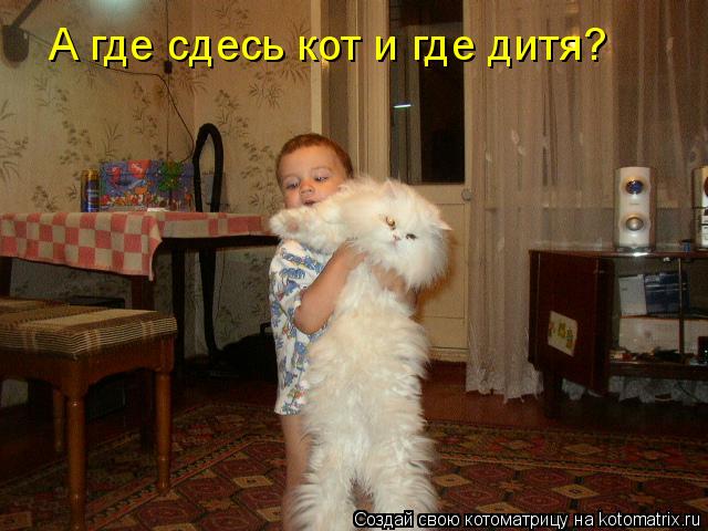 Котоматрица: А где сдесь кот и где дитя?