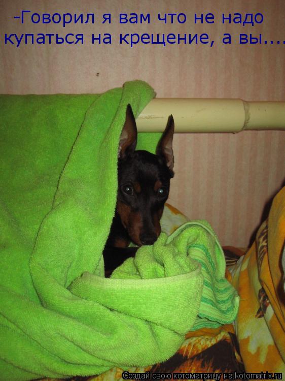Котоматрица: -Говорил я вам что не надо купаться на крещение, а вы........