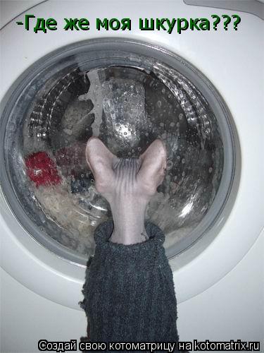 Котоматрица: -Где же моя шкурка???