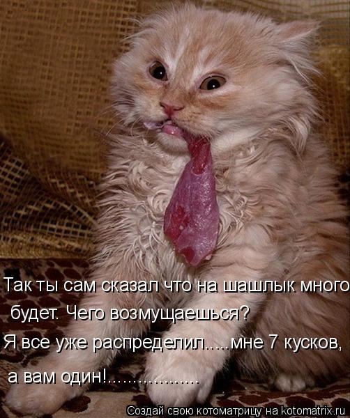 Котоматрица: Я все уже распределил.....мне 7 кусков, будет. Чего возмущаешься? Так ты сам сказал что на шашлык много а вам один!..................