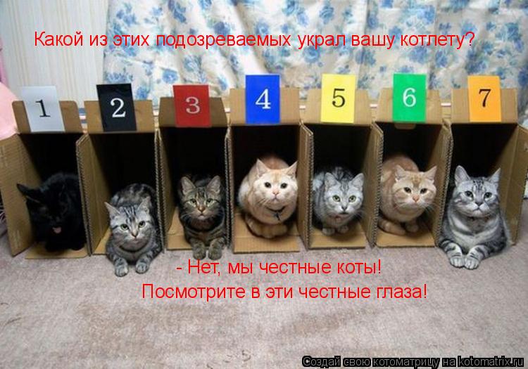 Котоматрица: Какой из этих подозреваемых украл вашу котлету? - Нет, мы честные коты!  Посмотрите в эти честные глаза!