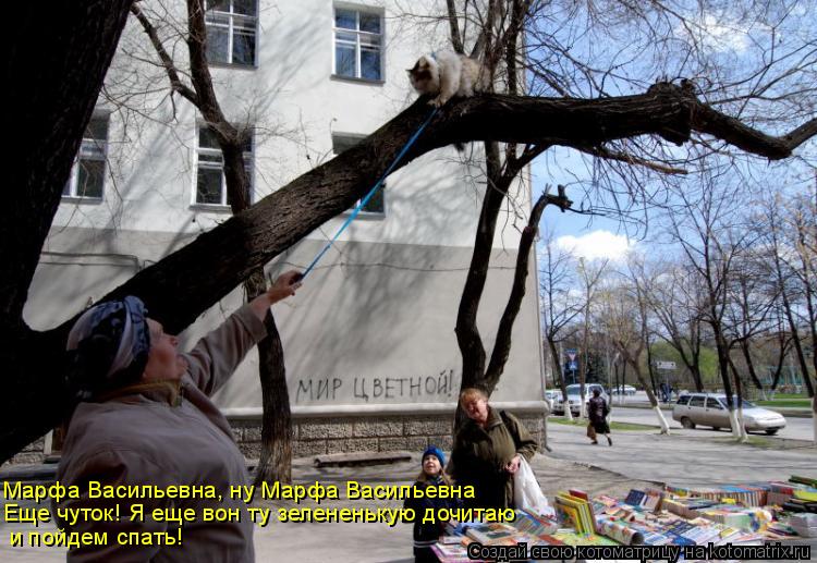 Марфа Васильевна, ну Марфа Васильевна Еще чуток! Я еще вон ту зелененькую дочитаю и пойдем спать!... Котоматрица: Марфа Васильевна, ну Марфа Васильевна Еще чуток! Я еще вон ту зелененькую дочитаю и пойдем спать!