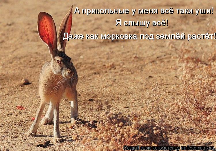 Котоматрица: А прикольные у меня всё таки уши! Я слышу всё! Даже как морковка под землёй растёт!
