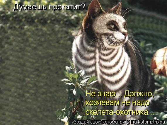Котоматрица: Думаешь прокатит? Не знаю... Должно, хозяевам не надо скелета-охотника...