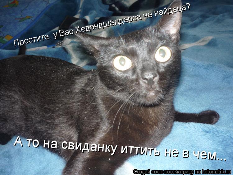 Котоматрица: Простите, у Вас Хедэндшёлдерса не найдёца?  А то на свиданку иттить не в чем...