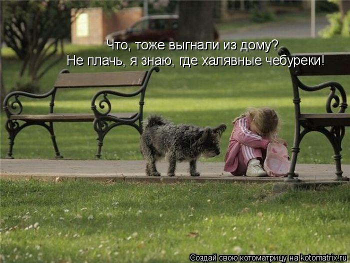 Котоматрица: Что, тоже выгнали из дому? Не плачь, я знаю, где халявные чебуреки!