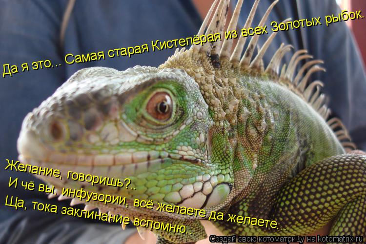 Котоматрица: Да я это... Самая старая Кистепёрая из всех Золотых рыбок... Желание, говоришь?.. И чё вы, инфузории, всё желаете да желаете... Ща, тока заклинани