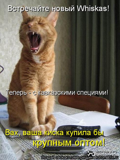 Котоматрица: Встречайте новый Whiskas! Теперь - с кавказскими специями! Вах, ваша киска купила бы крупным оптом!