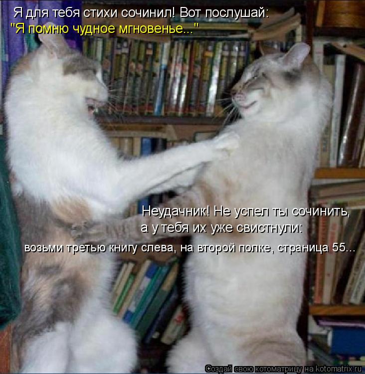 Котоматрица: Я для тебя стихи сочинил! Вот послушай: "Я помню чудное мгновенье..." Неудачник! Не успел ты сочинить,  а у тебя их уже свистнули:  возьми третью