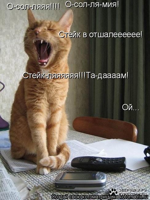 О-сол-ляяя!!!! О-сол-ля-мия! Стейк в отшалееееее! Стейк-ляяяяяя!!!Та-даааам! Ой...... Котоматрица: О-сол-ляяя!!!! О-сол-ля-мия! Стейк в отшалееееее! Стейк-ляяяяяя!!!Та-даааам! Ой...