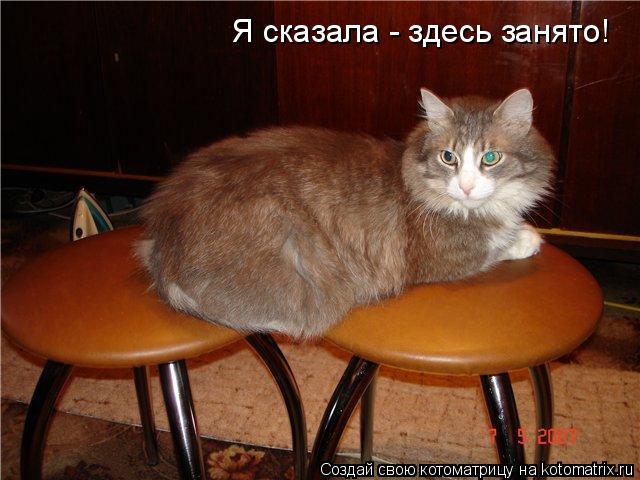 Я сказала - здесь занято!... Котоматрица: Я сказала - здесь занято!